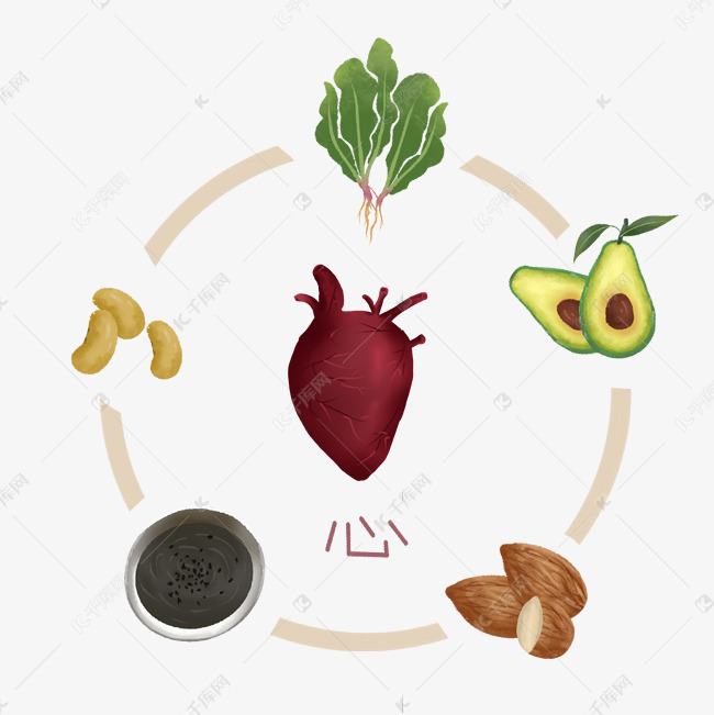 中医食疗护心血管