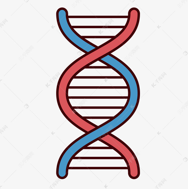 染色体图标