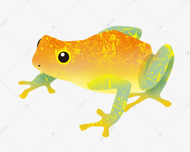 黄色跳跃青蛙
