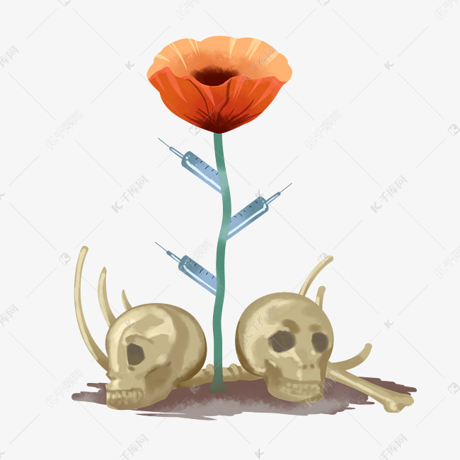 罂粟花毒品骷髅头素材图片免费下载 高清装饰图案psd 千库网 图片编号