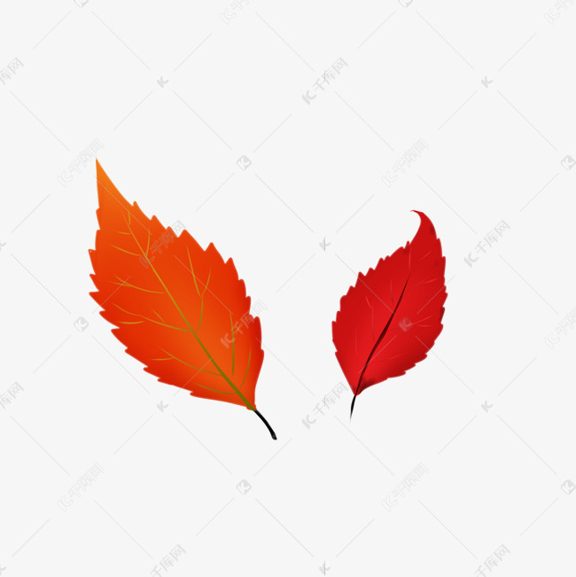 红叶落叶素材图片免费下载 高清装饰图案psd 千库网 图片编号
