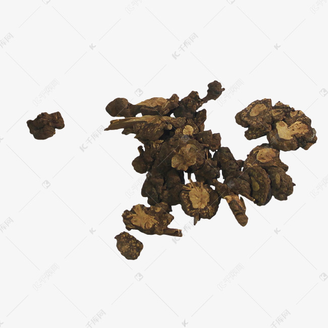 过路黄金钱草金银花中药药材素材图片免费下载 高清免抠摄影psd 千库网 图片编号