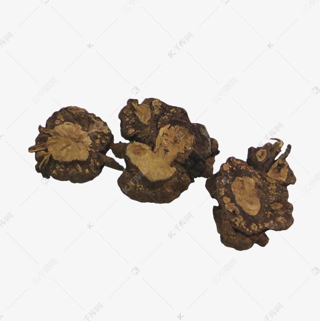 过路黄金钱草金银花中药药材素材图片免费下载 高清免抠摄影psd 千库网 图片编号