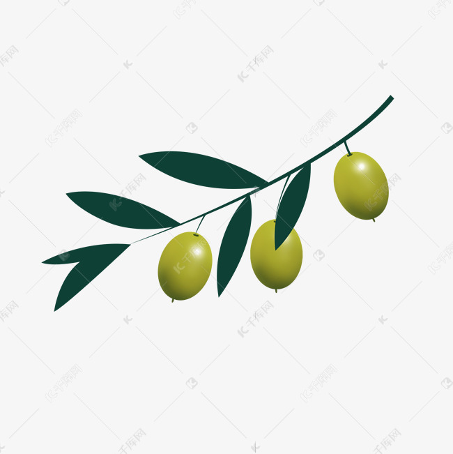 翠绿色橄榄叶矢量psd透明底素材图片免费下载-千库网