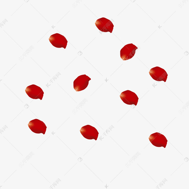手绘玫瑰花瓣png素材图片免费下载 高清漂浮素材psd 千库网 图片编号