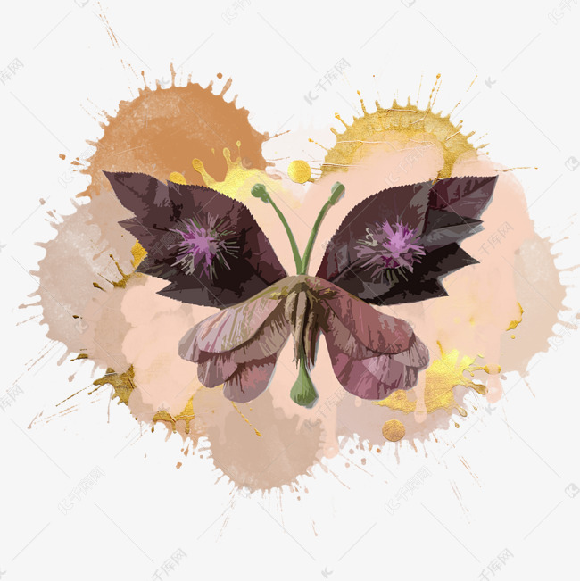 蝴蝶装饰枯叶蝶水彩