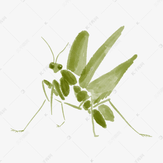 水墨水彩昆虫飞天螳螂