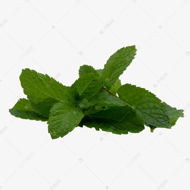 薄荷绿打底衫怎么搭配（小地素薄荷绿色开衫）-第2张图片-潮百科
