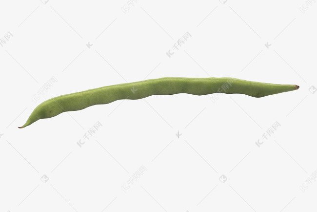 一根绿色豆角