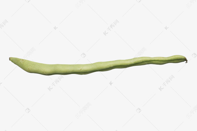 一根绿色豆角