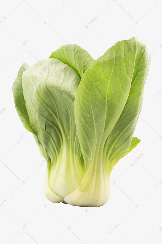 一颗绿色油菜