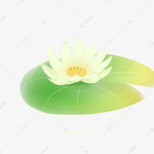 漂亮的荷花免抠图