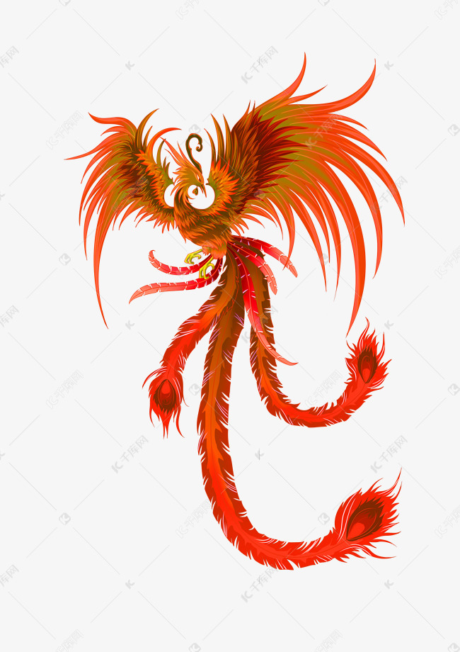 红色美丽凤凰