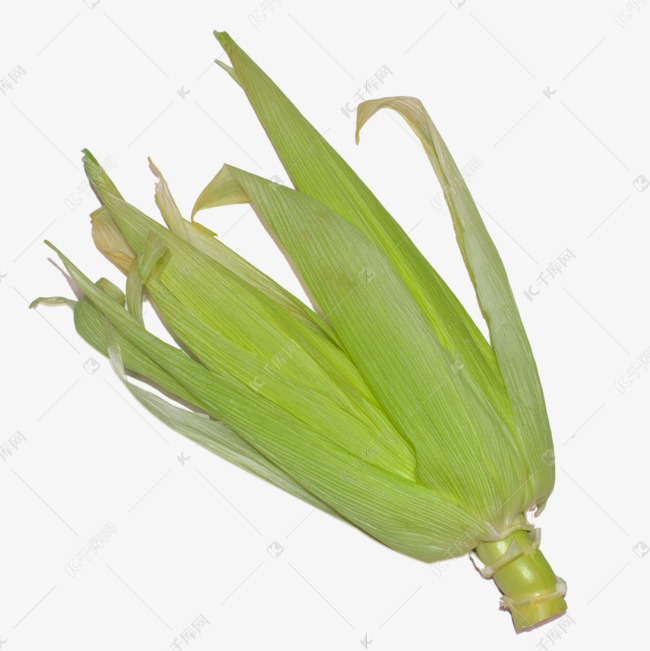 苞谷皮玉米皮