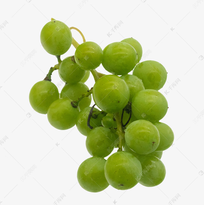 绿色圆形青葡萄