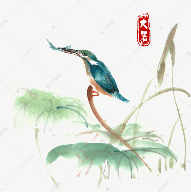 大暑翠鸟捕鱼