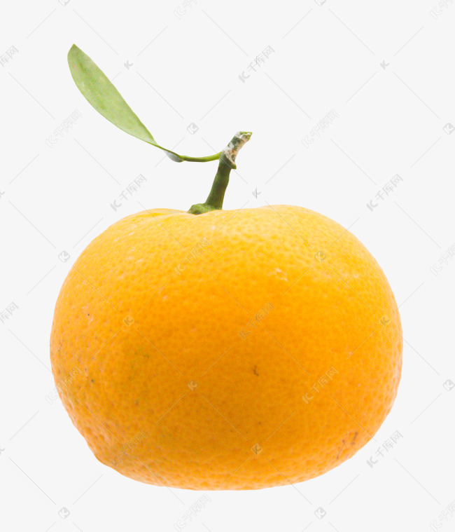 黄色美味橘子