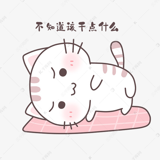 小猫咪什么都不知道图片