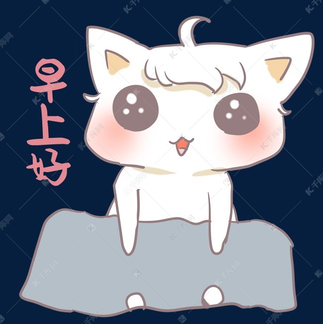 小猫早上好表情包