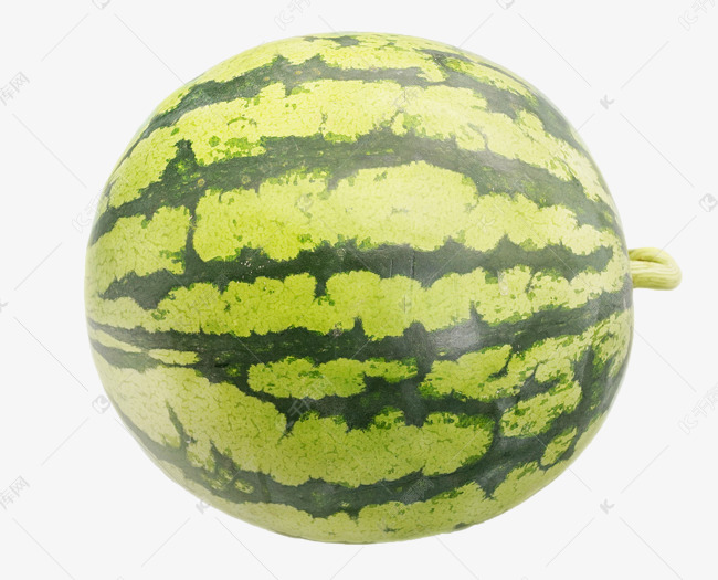 圆圆西瓜水果