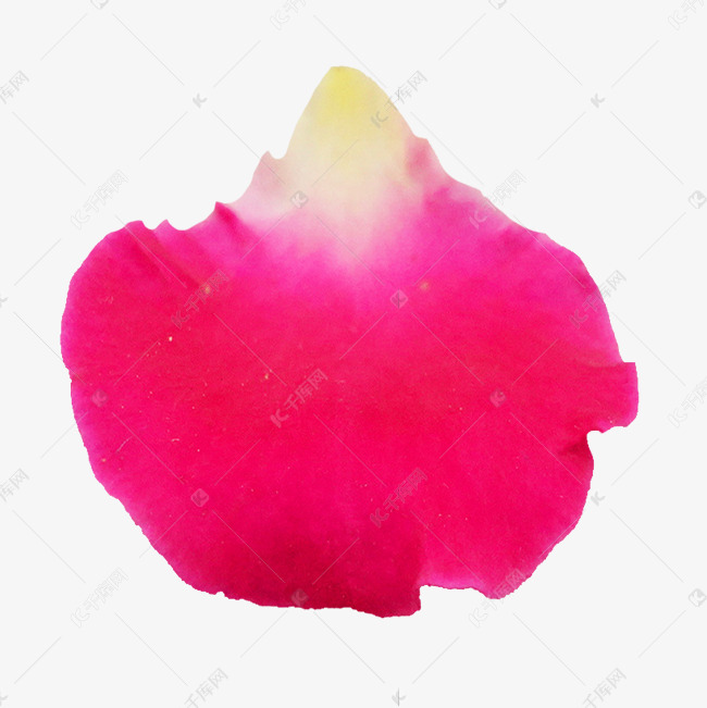 一片玫瑰花瓣素材图片免费下载 高清免抠摄影psd 千库网 图片编号
