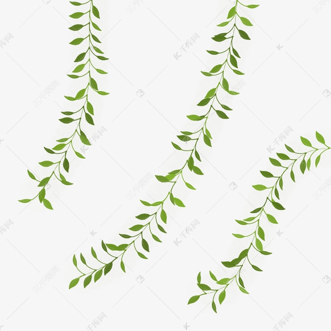 飘落的绿色柳枝素材图片免费下载 高清漂浮素材psd 千库网 图片编号