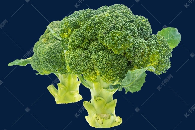 新鲜绿色花椰菜