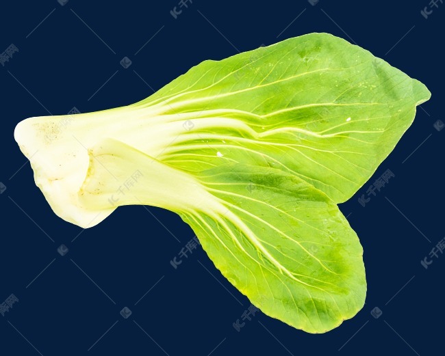 一颗油菜蔬菜