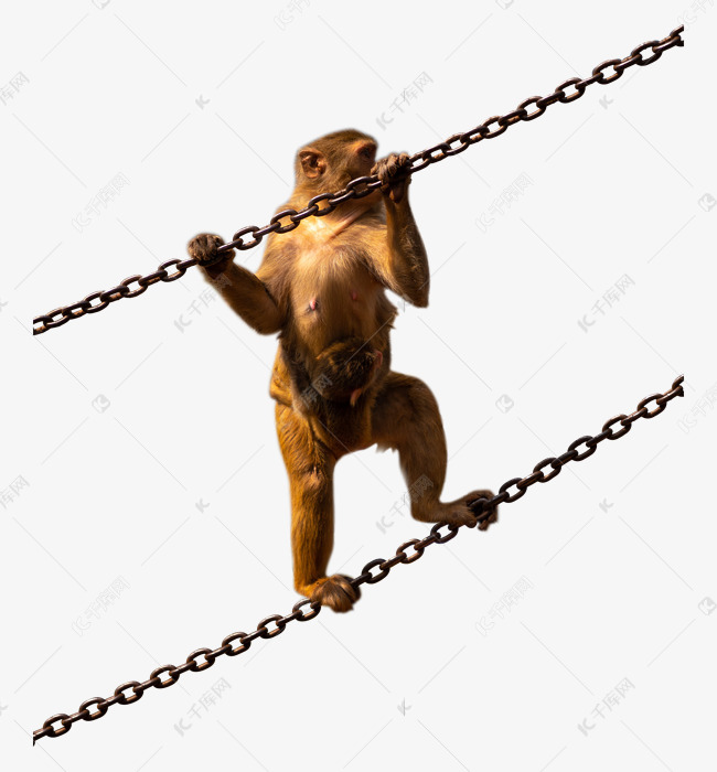 铁质铁链猴子
