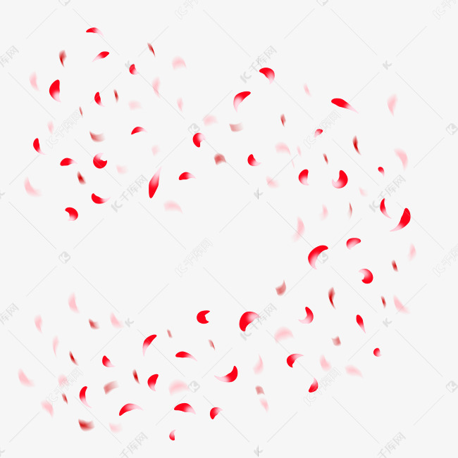 结婚婚礼花瓣雨