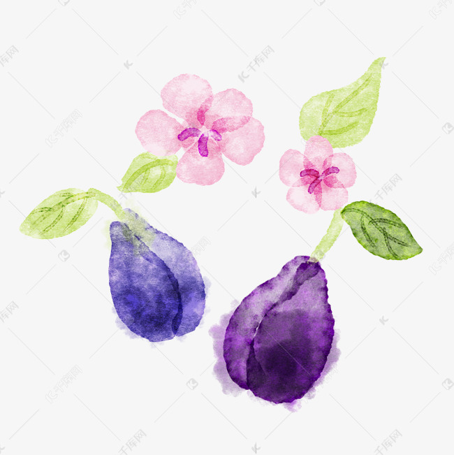 植物花朵乌梅素材图片免费下载-千库网