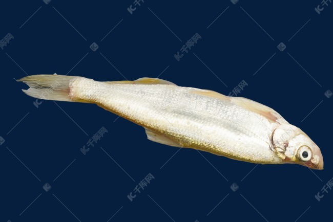 一条小鱼海鲜