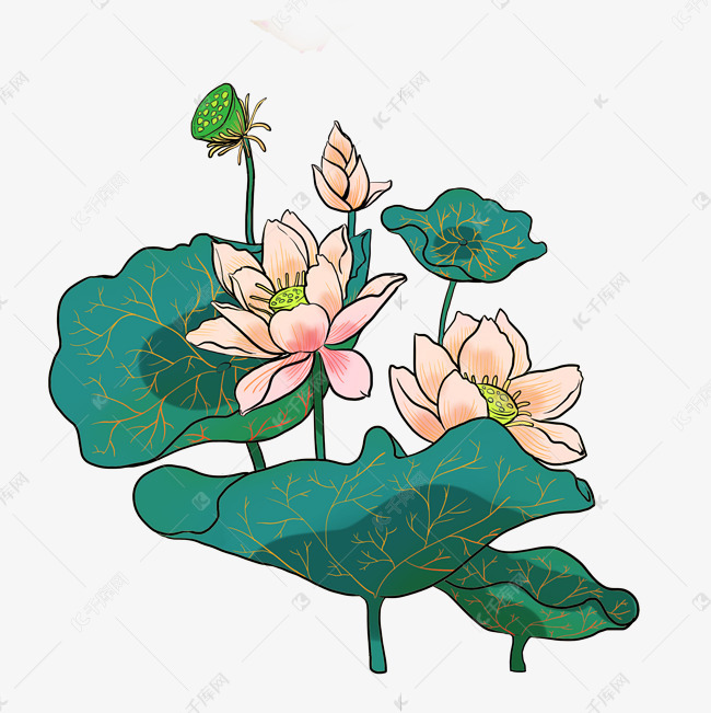 夏日荷花古典装饰莲素材图片免费下载 高清装饰图案psd 千库网 图片编号