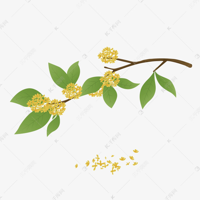 中秋节矢量桂花免扣素材