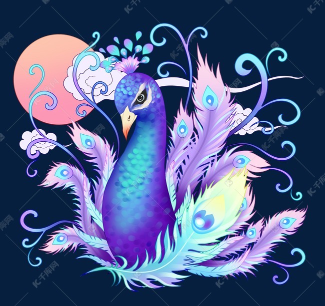 唯美羽毛孔雀开屏