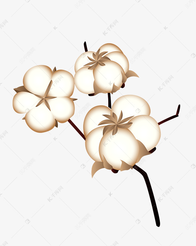 更多白色的棉花设计图片快来千库吧