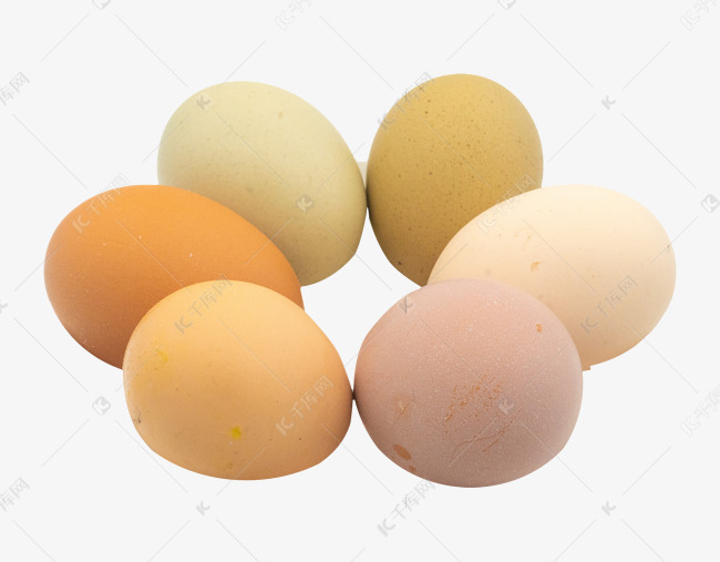 营养椭圆鸡蛋