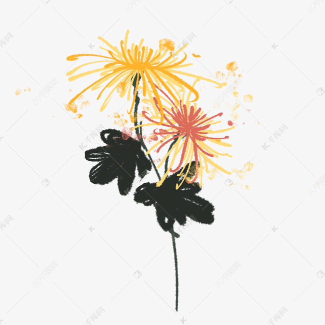 龙爪菊国画风手绘素材