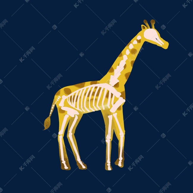 黄色长颈鹿骨骼