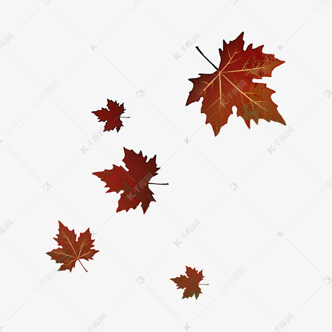 红叶飘落秋天枫叶素材图片免费下载 高清漂浮素材psd 千库网 图片编号 红叶飘落秋天枫叶素材图片免费下载 高清漂浮素材psd 千库网 图片编号