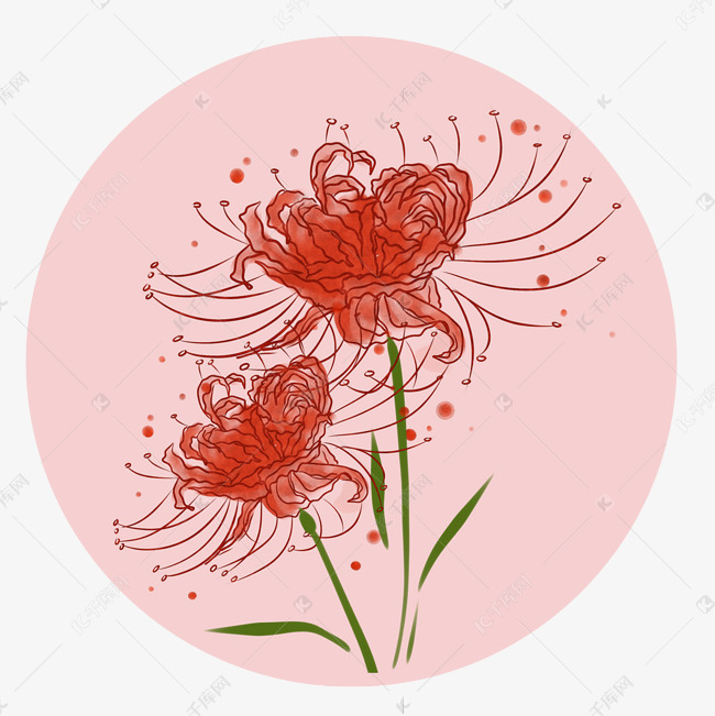 水彩手绘彼岸花