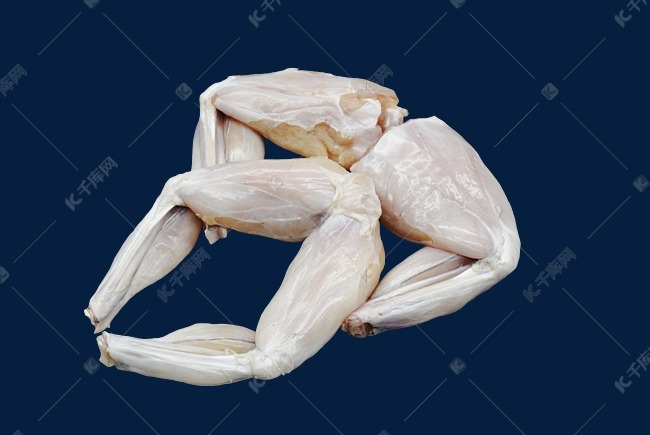 白色牛蛙腿