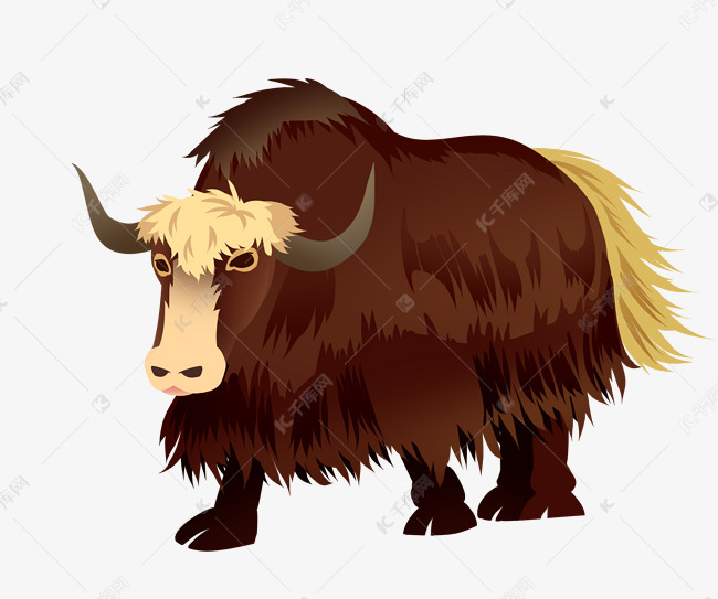 一头咖色牦牛