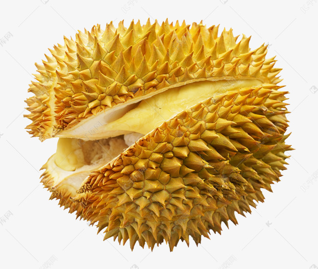 整个黄色榴莲素材图片免费下载-千库网