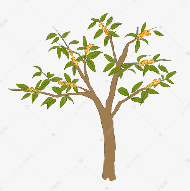 桂花树手绘桂花素材图片免费下载 高清卡通手绘psd 千库网 图片编号