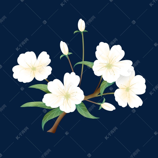 手绘工笔梨花装饰