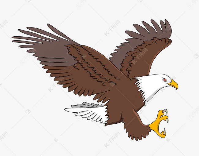 雏鹰展翅卡通图片图片