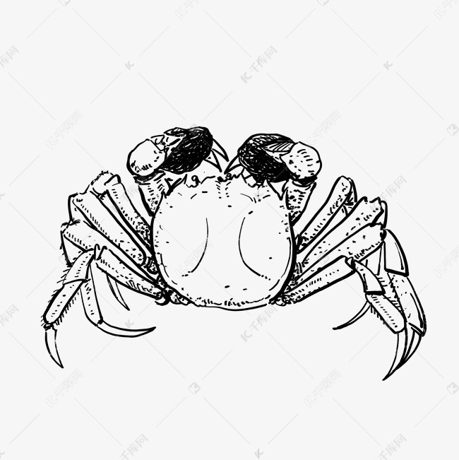 线描螃蟹