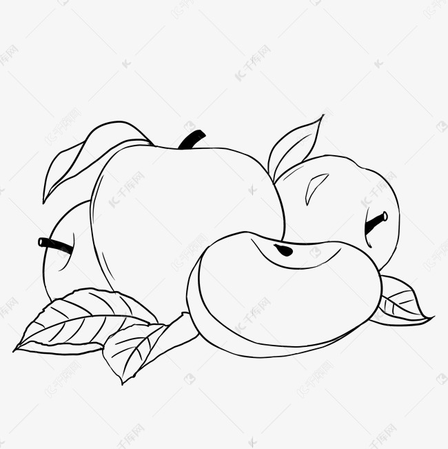 线描水果苹果