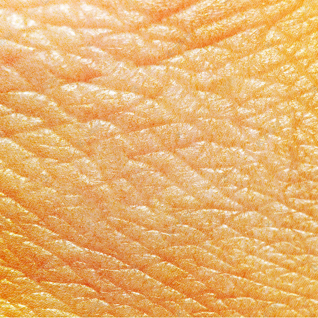 皮肤纹理粗糙皮肤